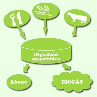digestión anaeróbica destacada